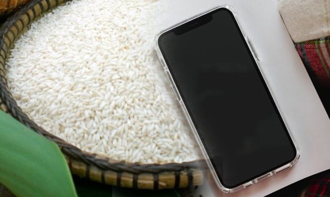 
					Mitos Berbahaya! Rendam HP Basah di Beras Justru Merusak, Ini Kata Apple!
