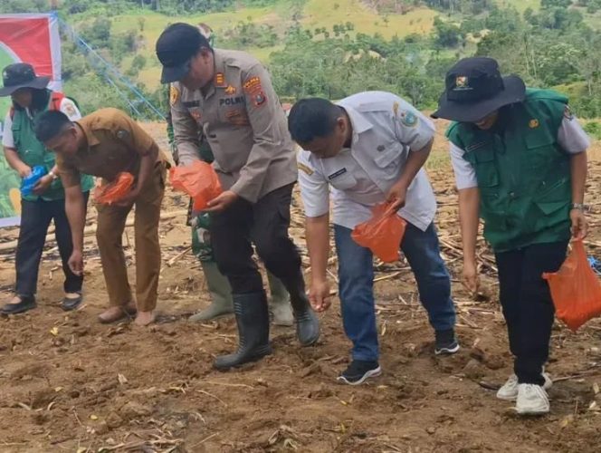 
					Polsek Juhar Turut Sukseskan Penanaman Jagung Serentak Kuartal III di Lahan Perhutanan Sosial
