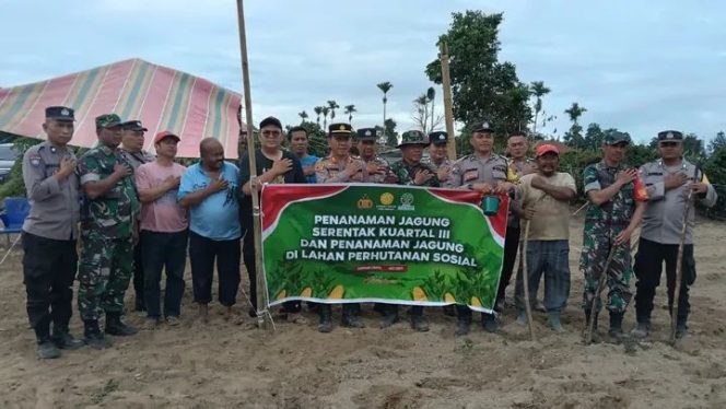 
					Polsek Simpang Empat Bersama Forkopimcam Naman Teran Tanam Jagung Serentak, Dukung Program Swasembada Pangan