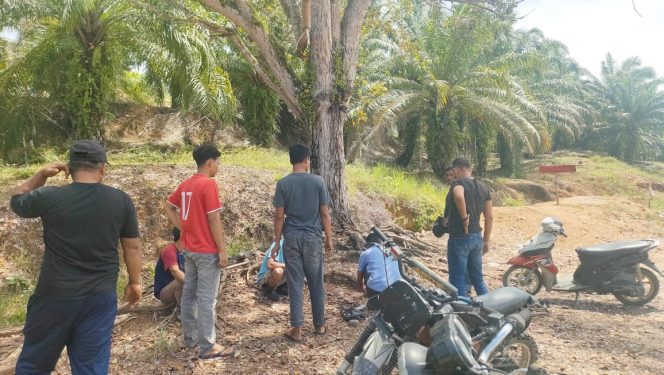 
					Mantan Kepala Desa Ameran Manik Sebut perumahan karyawan Asdal Prima lestari berada di Lahan SHM warga Desa Lae Langge