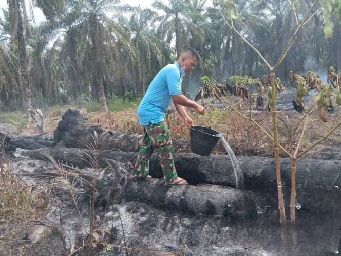 
					*Babinsa Terjun Langsung Padamkan Kebakaran Lahan di Wilayah Binaan*