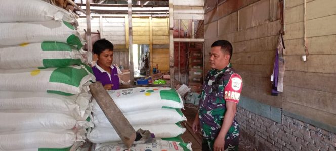 
					Babinsa Aktif Cek Ketersediaan dan Harga Obat Pertanian, Dukung Kesejahteraan Petani di Parongil