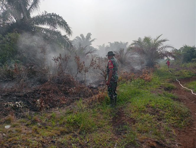 
					*Babinsa Koramil 03/SB dan Bhabinkamtibmas Padamkan Kebakaran Lahan di Desa Sei Lumut*