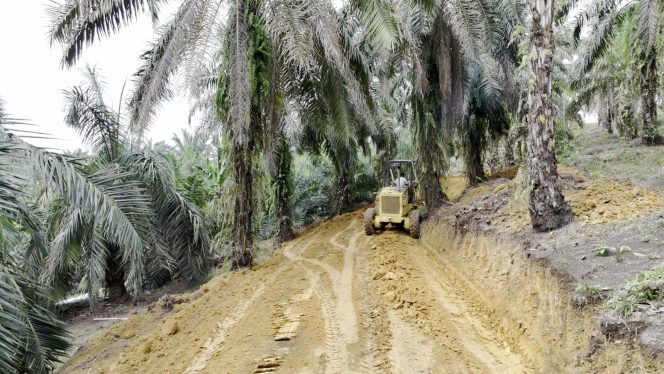 
					Pembangunan Jalan TMMD Kodim 0209/Labuhanbatu Hampir Rampung, Masyarakat Antusias Menyambut Manfaatnya
