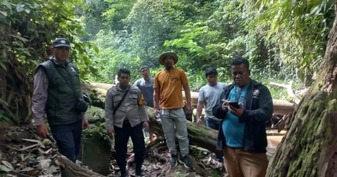 
					Kapolsek Mardingding Bersama Camat dan BKSDA Sumut Tindaklanjuti Temuan Jejak Harimau di Perladangan Warga