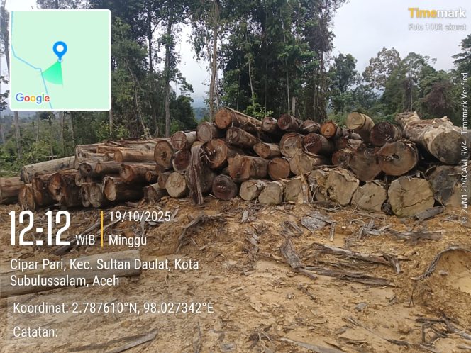 Dugaan Ilegal Logging Sultan Daulat — Kayu Gelondongan Ditemukan di Lokasi Belum Dikrosing, Barkot Diduga Keluar Ilegal