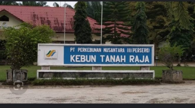 
					Askep Kebun Tanah Raja Diduga Alergi terhadap Media.