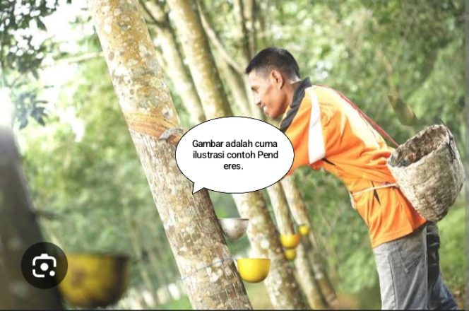 Kebun Tanah Raja Diduga Pekerjakan Pekerja Siluman.