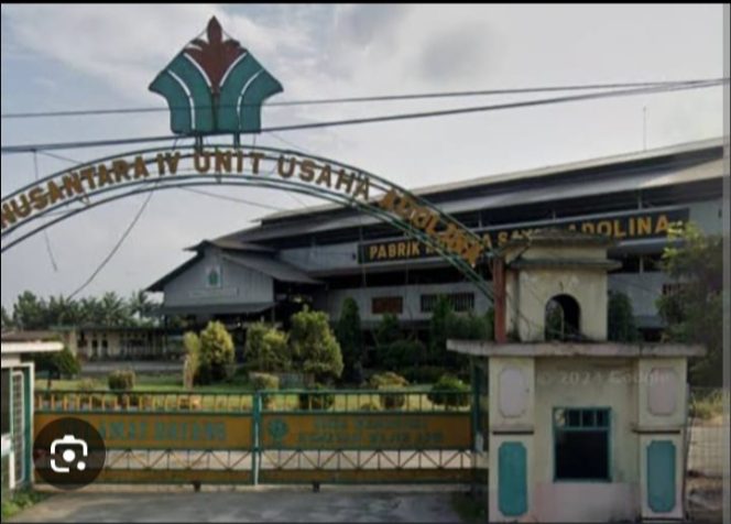 Kevin Askep Kebun Adolina Diduga Alergi Terhadap Wartawan Ketika Dikonfirmasi.