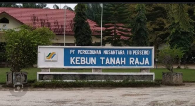 APK Kebun Tanah Raja Bungkam Ketika Dikonfirmasi Mengenai Adanya Anak Dibawah Umur  Terlihat Bekerja di Kebun Tanah Raja.