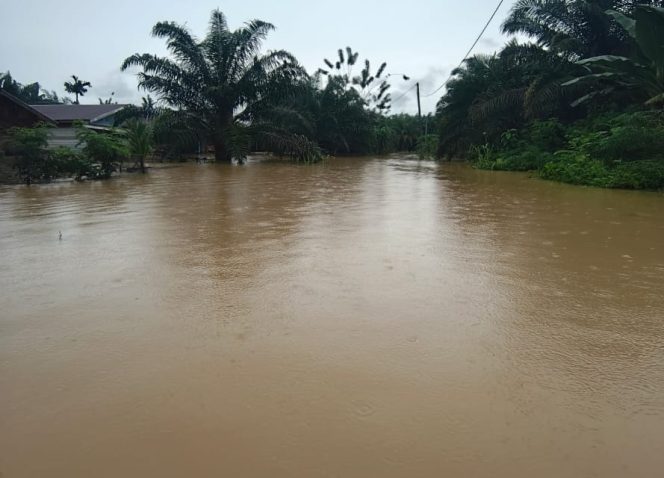 
					Juknis Aturan Penggunaan Dana Tanggap Darurat: Tidak Boleh Dialihkan, Diatur Ketat Dengan Peruntukan Spesifik