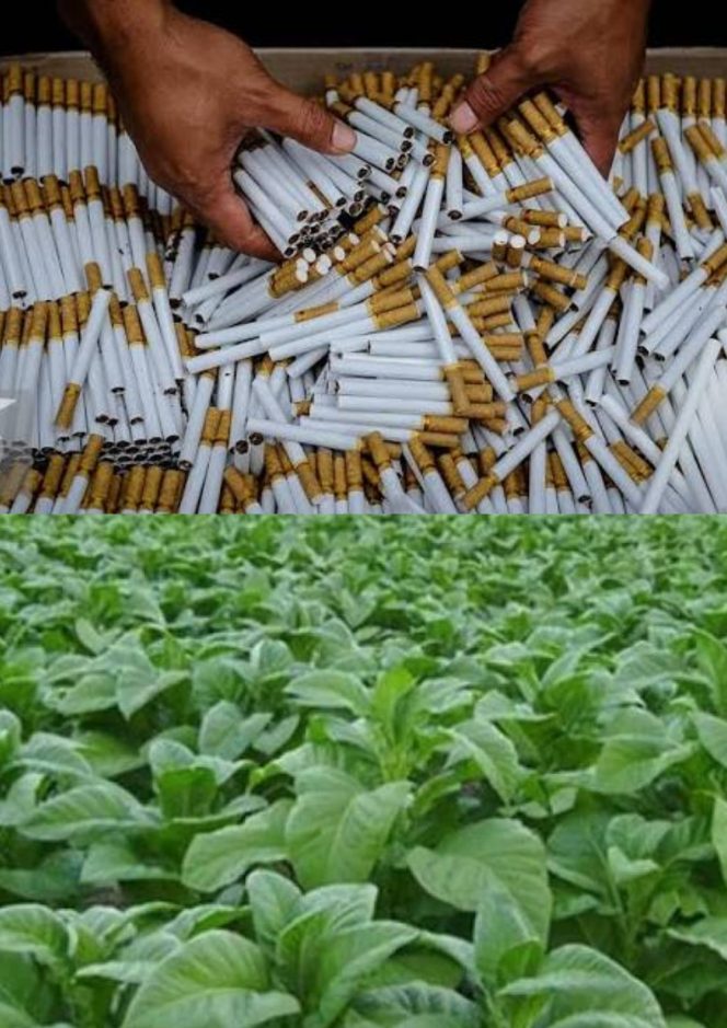 
					DCT Tahun 2025 Sebesar RP,202 Juta Di Kota Subulussalam Belum Disalurkan hingga Awal 2026, Ini Sangsi yang Menanti