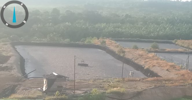 
					BAU BUSUK DAN PENCEMARAN AIR GANGGU MASYARAKAT DESA NAMO BUAYA, PT MSB2 TIDAK MEMILIKI AMDAL DAN IMB,Warga Ancang-Acang Aksi Jika Pemerintah Tidak Bertindak