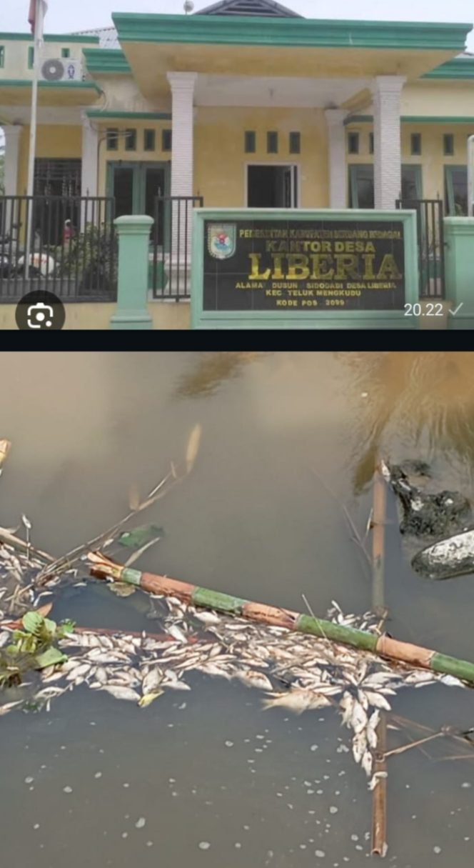 
					Masyarakat Desa Liberia Kecewa Dengan Tidak Dipublikasikannya Hasil Lab, Tuntut Segera Dipublikasikan Demi Kepastian Hukum.