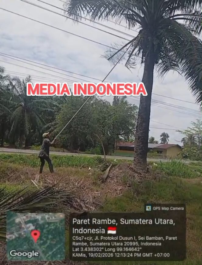 
					Kadisnaker Sergai Bungkam Terkait Temuan Adanya Pemanenan Kebun Rambutan Tanpa APD Ketika Bekerja Dibawah Jaringan Listrik.