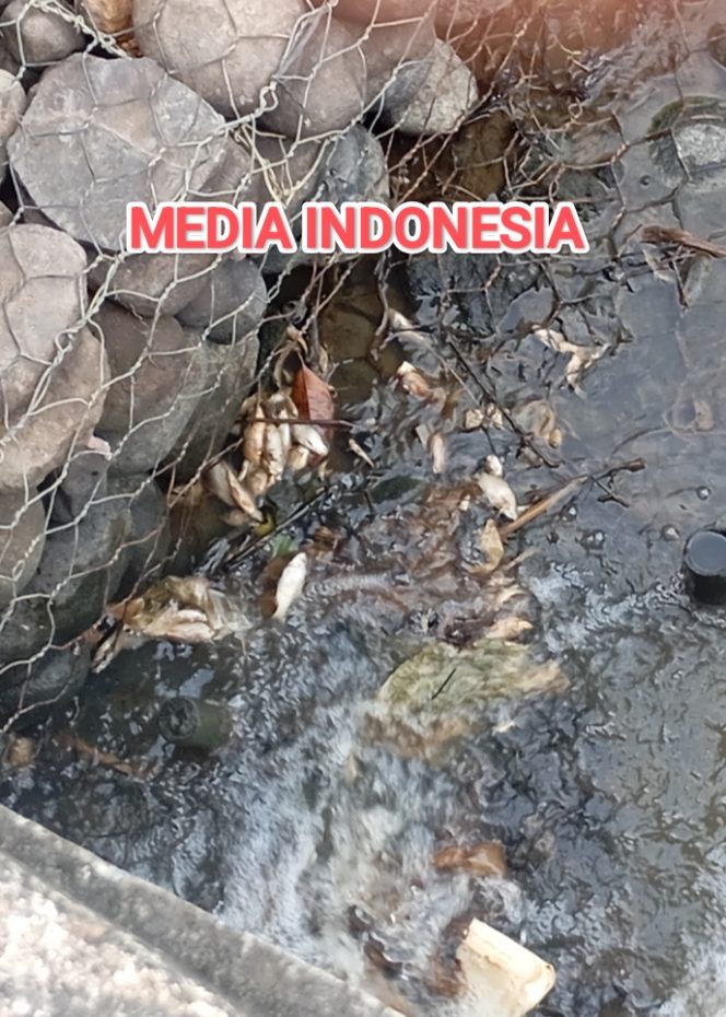 
					Wartawan Layangkan Surat Resmi Permohonan Hasil Lab Sesuai Arahan DLH Sergai, Namun Belum Juga Diberikan.