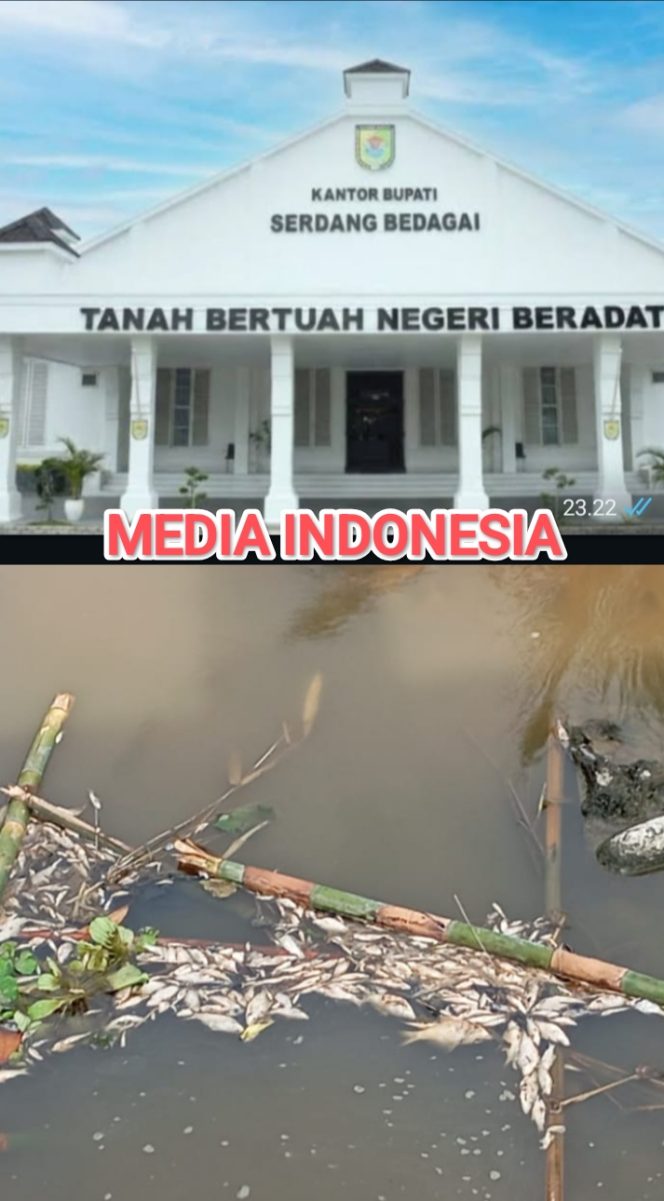 
					Bungkam Ketika Dikonfirmasi Melalui Surat Resmi, Bupati Sergai Diduga Tutup Mata Kasus Ribuan Ikan Mati di Sungai Liberia yang Diduga Akibat Limbah Kilang Ubi.