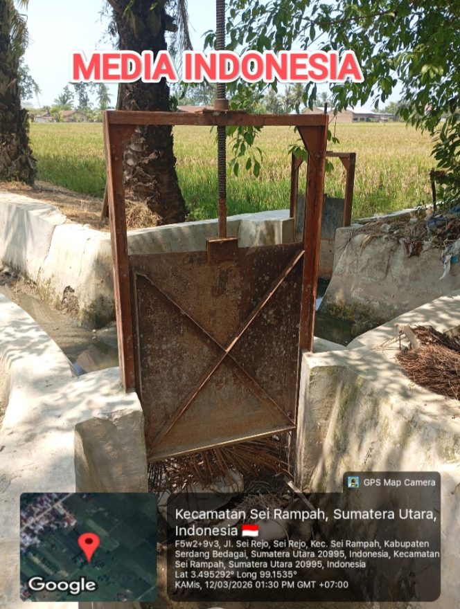 
					Rijal Ketua Gapoktan Desa Sei Rejo Diduga Berbohong, Klaim Sudah Selesai, Fakta Dilapangan Ditemukan 4 Pintu Air Irigasi yang Belum Diperbaiki.