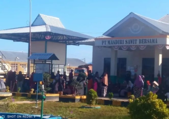 
					Warga Namo Buaya Geruduk Kantor PT MSB2, Tuntut Kompensasi Akibat Limbah & Bau Busuk