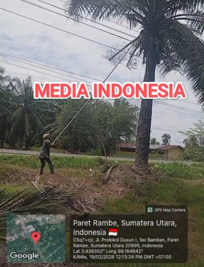 
					Demi Kejar Produksi Karyawan PKWT Kebun Rambutan PTPN IV Regional 1, Diduga Dipertaruhkan Nyawa Dibawah Arus Listrik Tanpa APD yang Memadai.