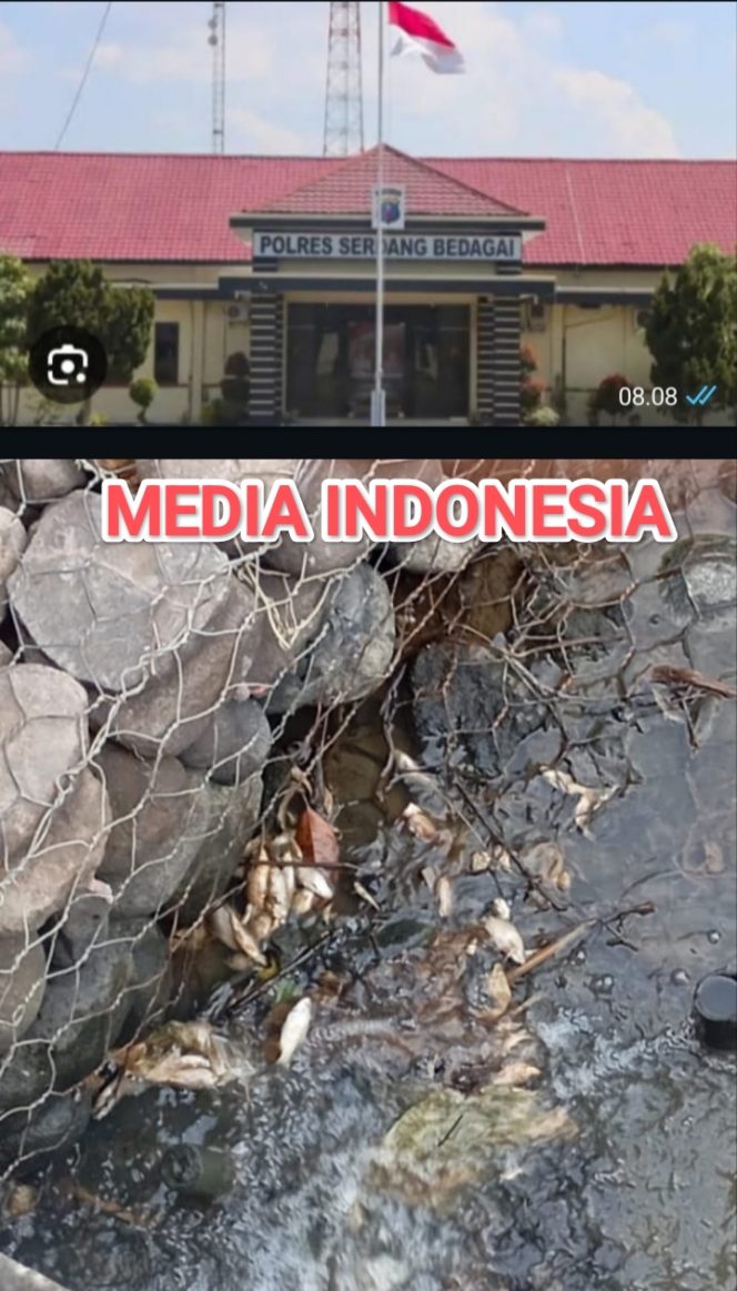 
					Kasus Dugaan Pencemaran Sungai Liberia Menggantung Hampir 3 Bulan Belum Juga Ada Kejelasannya, Publik Pertanyakan Kinerja Polres Sergai.