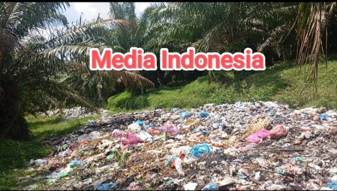 
					TPA Sampah di Kebun Adolina Jadi Sorotan Tajam Publik, Namun Sikap Boy R. Sihombing Kabid PKP LH Sergai Tertutup dan Tidak Konsisten, “Timbulkan Tanda Tanya.”