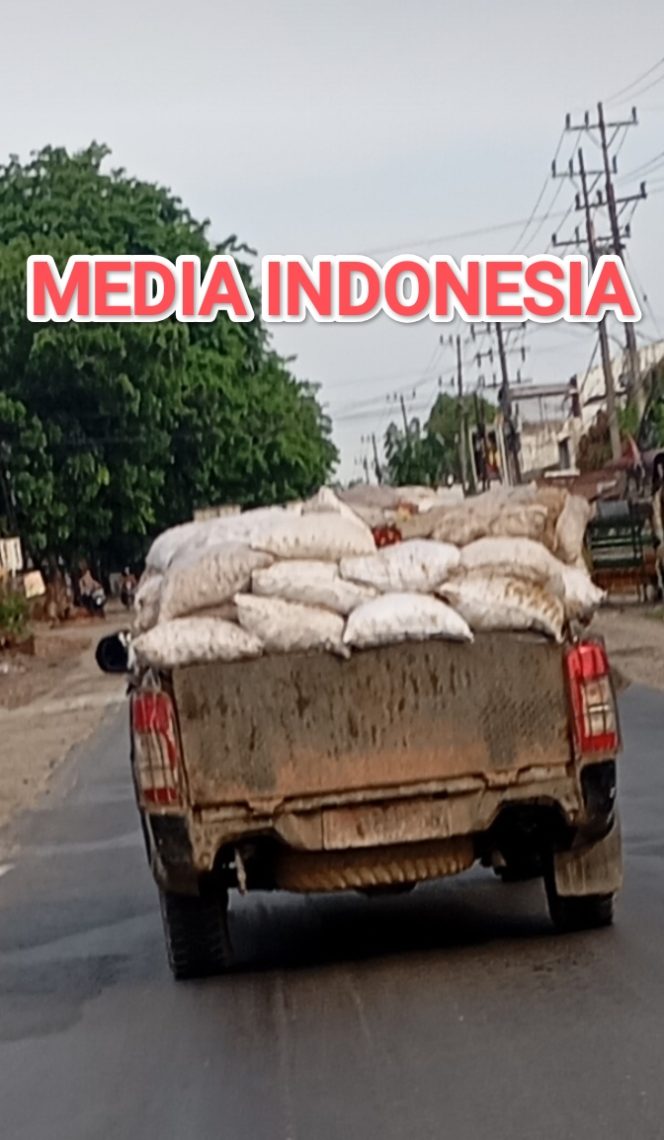 
					Mobil Kopkar dan Karyawan Kebun Tanah Raja Dilibatkan Angkut Sawit, Diduga Tabrak Kepentingan dan Berpotensi Rugikan Negara.