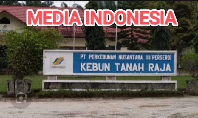
					Terkait Misteri 3 Bulan Dana Kutip Kompo yang Belum Diberikan Kepada Karyawan Penderes: Jawaban Humas Kebun Tanah Raja Dinilai Menggantung.