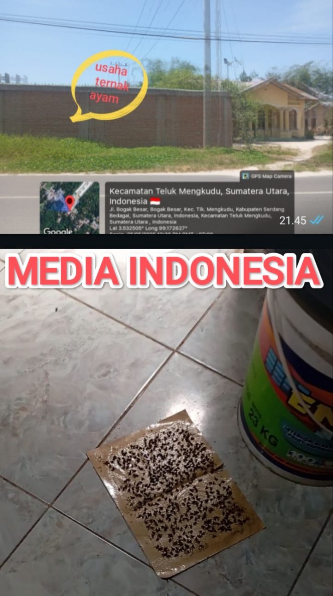 
					Pemukiman Warga Desa Bogak Besar Diserbu Ribuan Lalat, Guna Cari Solusi, Warga Desak Adakan Mediasi Antara Pengusaha Ternak Ayam dan Pemerintah.