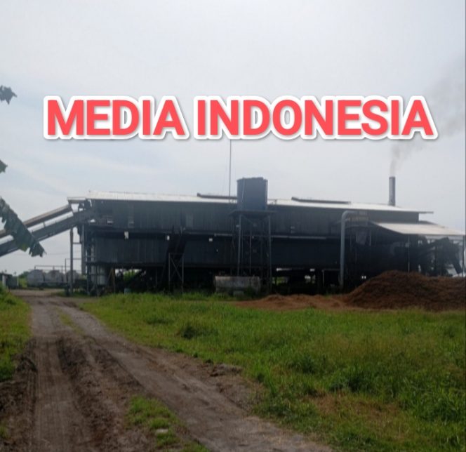 
					Operasional PKS Mini Berondolan di Desa Pematang Kuala Soroti Tata Niaga Sawit dan Keluhan Warga.