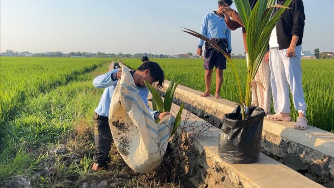 
					Tanam Bibit Kelapa, KKN 165 Ananta Abhipraya Wujudkan Desa Berdikari