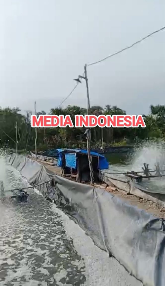 
					Terkait Modal dan Tekhnis Usaha BUMDes Desa Nagur, Ketua BUMDes Bungkam, Ada Apa?