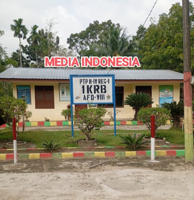 
					Diduga Anti-Kritik, Oknum Pejabat Kebun Rambutan PTPN IV Blokir dan Bungkam Saat Dikonfirmasi Soal Tekhnis Kutip Kompo.