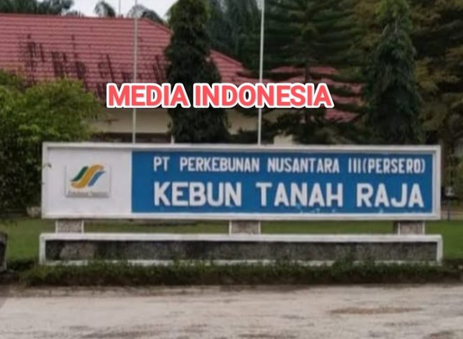 
					POLEMIK KUTIP KOMPO TANAMAN KARET KEBUN TANAH RAJA: Manajemen Bungkam, Transparansi GCG PTPN IV Dipertanyakan. 