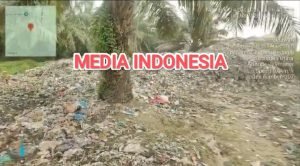 Sampah TPA Meluber ke Kebun Sawit Adolina PTPN IV, Kinerja Manajemen dan Dinas LH Sergai Disorot.
